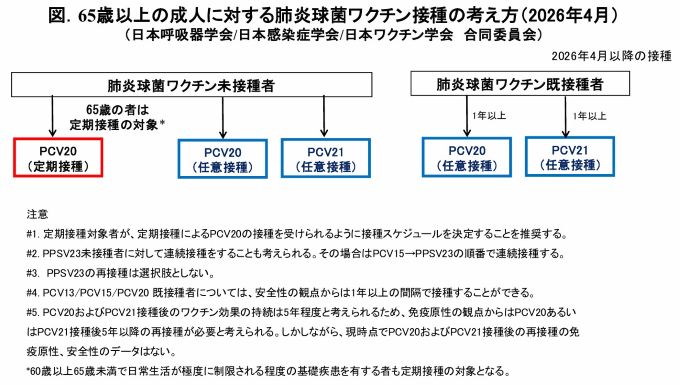 65歳以上の成人に対する肺炎球菌ワクチン接種の考え方
